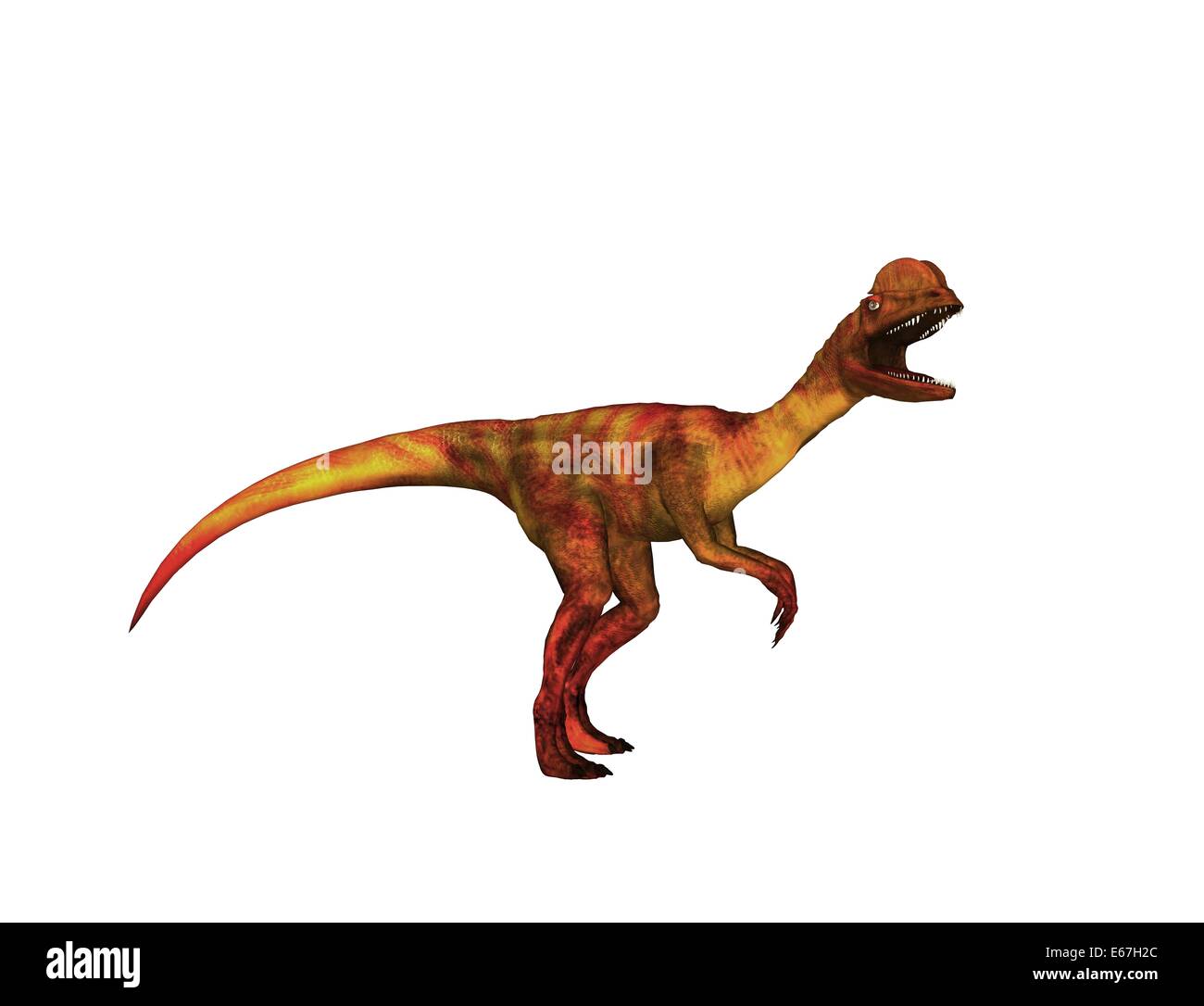 Dinosaurier Dilophosaurus / dinosaur Dilophosaurus Stock Photo Alamy