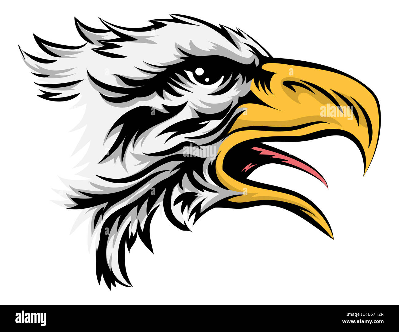 A drawing of a stylised bald eagle bird animal head Stock Photo