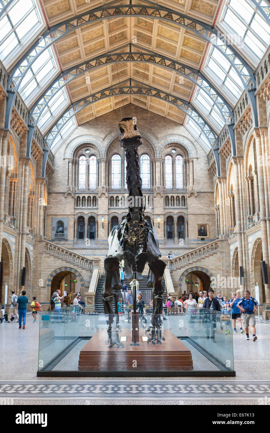 Great entrance hall of the natural history museum, London, England Stock Photo