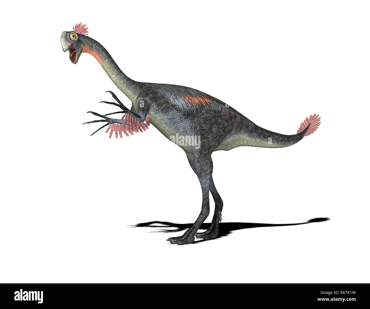 Dinosaurier Gigantoraptor / dinosaur Gigantoraptor Stock Photo