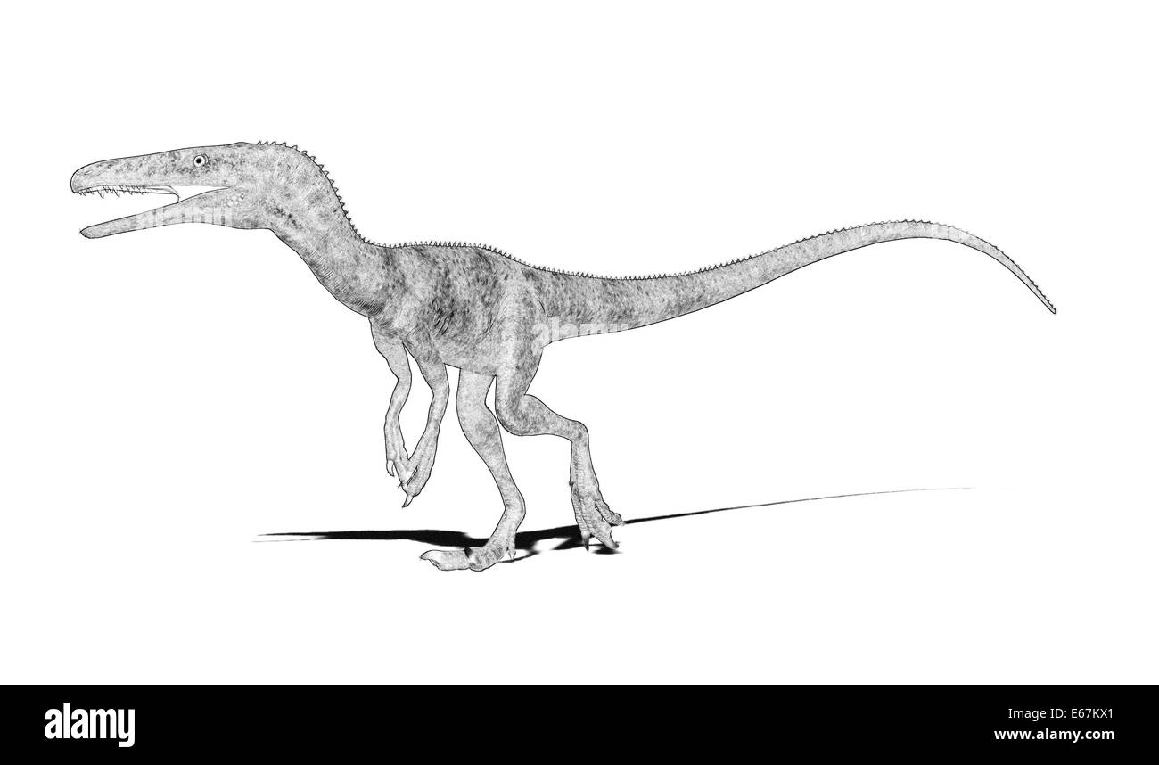 Dinosaurier Juravenator / dinosaur Juravenator Stock Photo