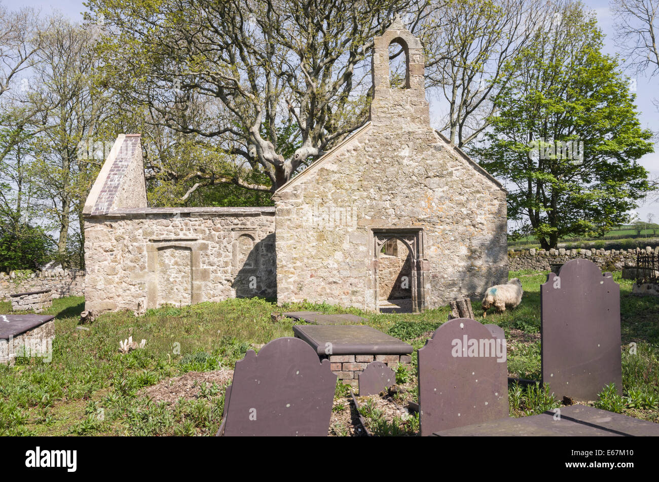 Remains of a disused and abandoned country parish church near Pentre Berw, Isle of Anglesey, North Wales, UK, Britain Stock Photo