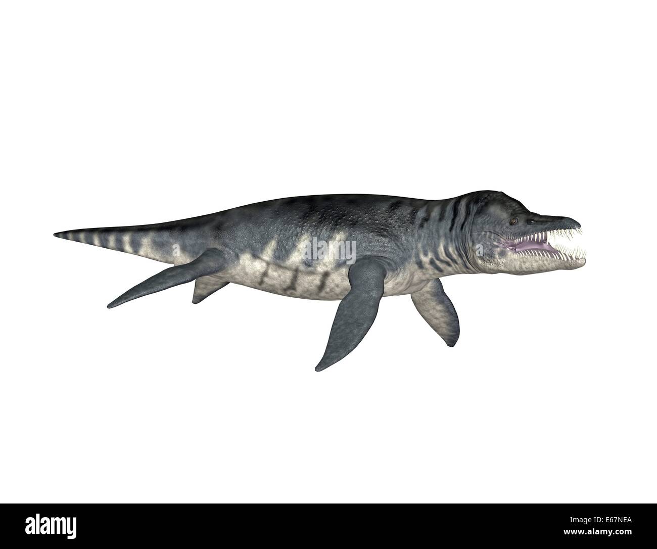 CollectA Liopleurodon Dinosaurier Figur – Blau, Aus Kunststoff, 17 Cm, Naturgetreu, Für Spiel & Sammlung