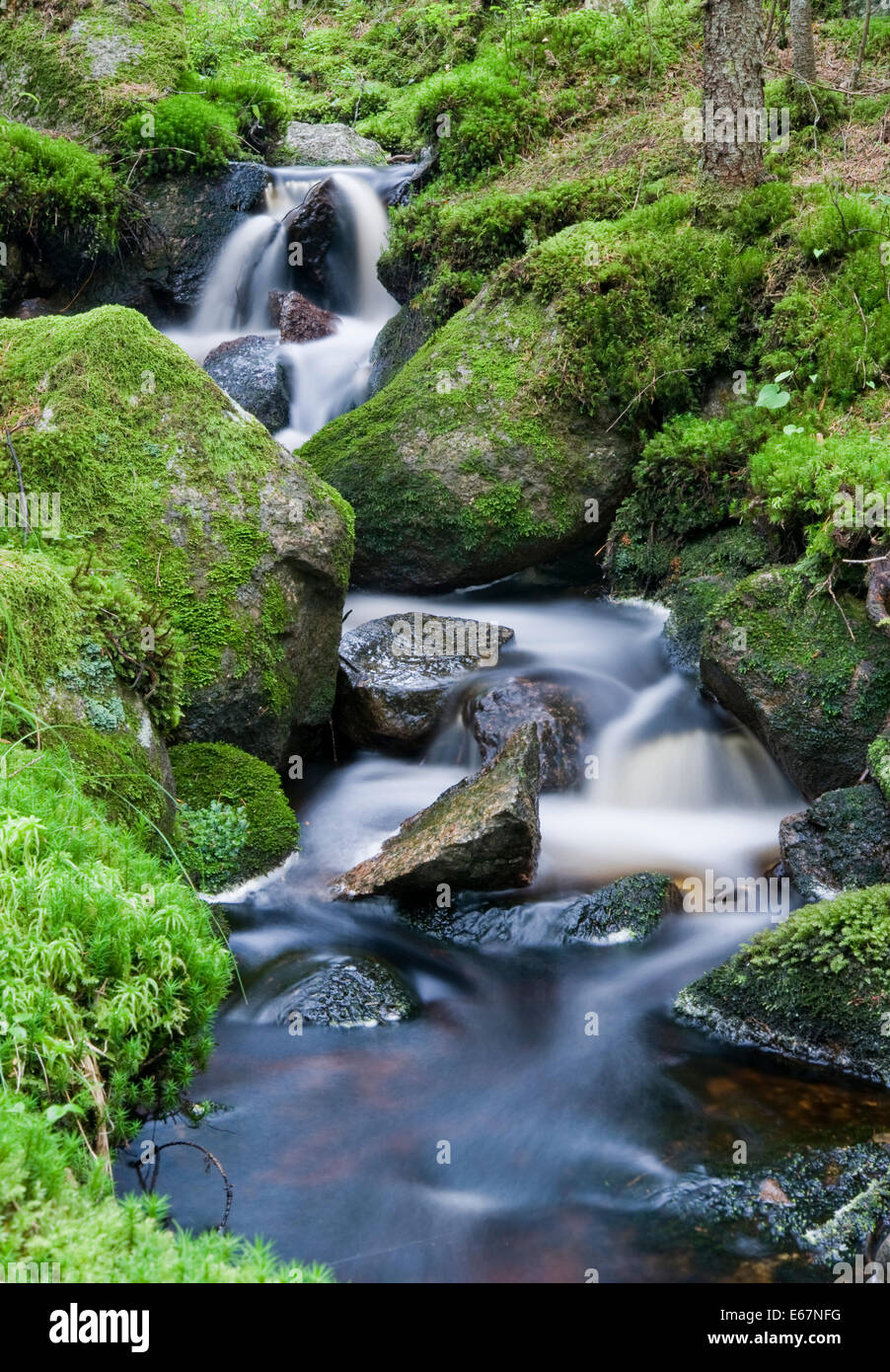 A beautiful waterfall in the forest Stock Photo - Alamy