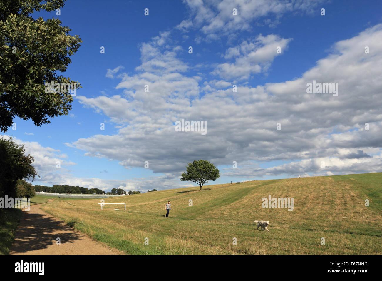 Epsom Downs, Surrey, England, UK. 17th August 2014. Another day of ...