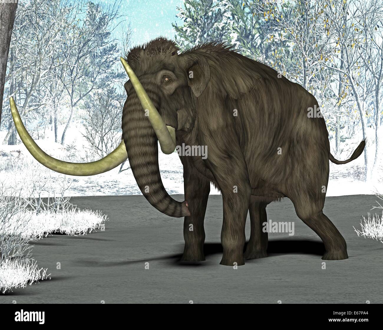 Mammut / Mammoth Stock Photo - Alamy
