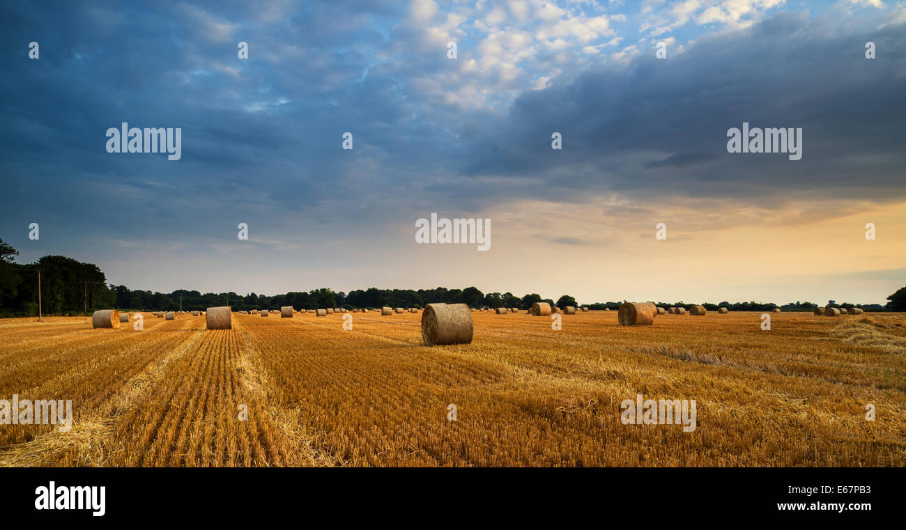 Beautiful summer sunset over field hi-res stock photography and images ...