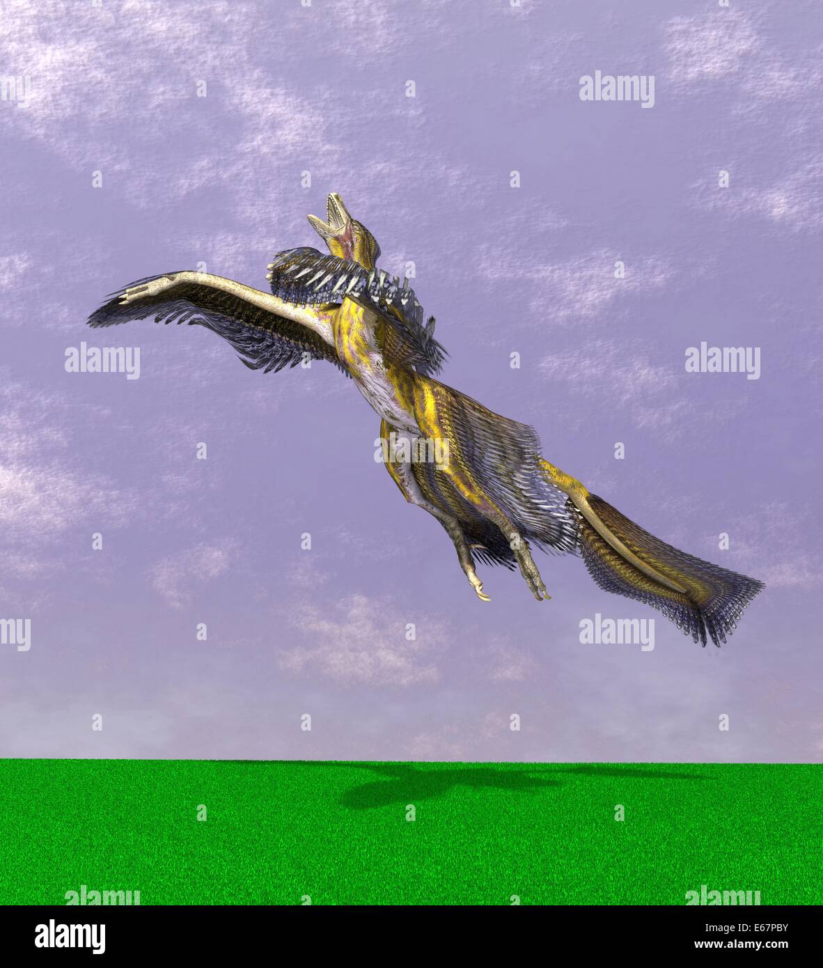 Dinosaurier Microraptor / dinosaur Microraptor Stock Photo - Alamy