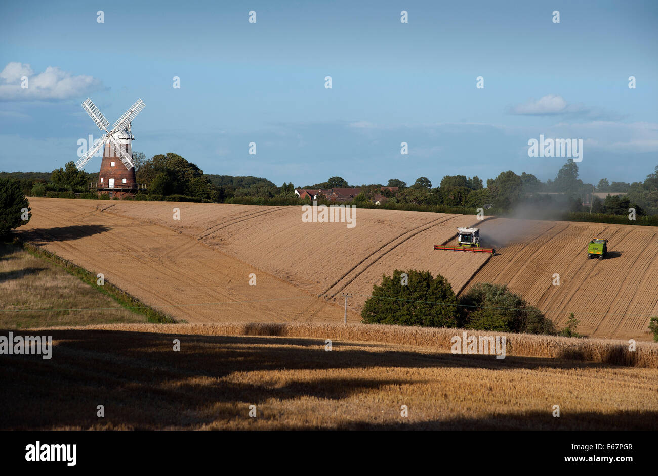 Harvest Time in Thaxted Essex England UK. 17 August 2014 Combine harvester brings in the last of the milling wheat from Simon Latham's farm in Thaxted in north Essex in England amid fine weather. The scene is made picture perfect with Thaxted Church and the ancient John Webbs Windmill in the background in the golden autumn evening light. Credit:  BRIAN HARRIS/Alamy Live News Stock Photo