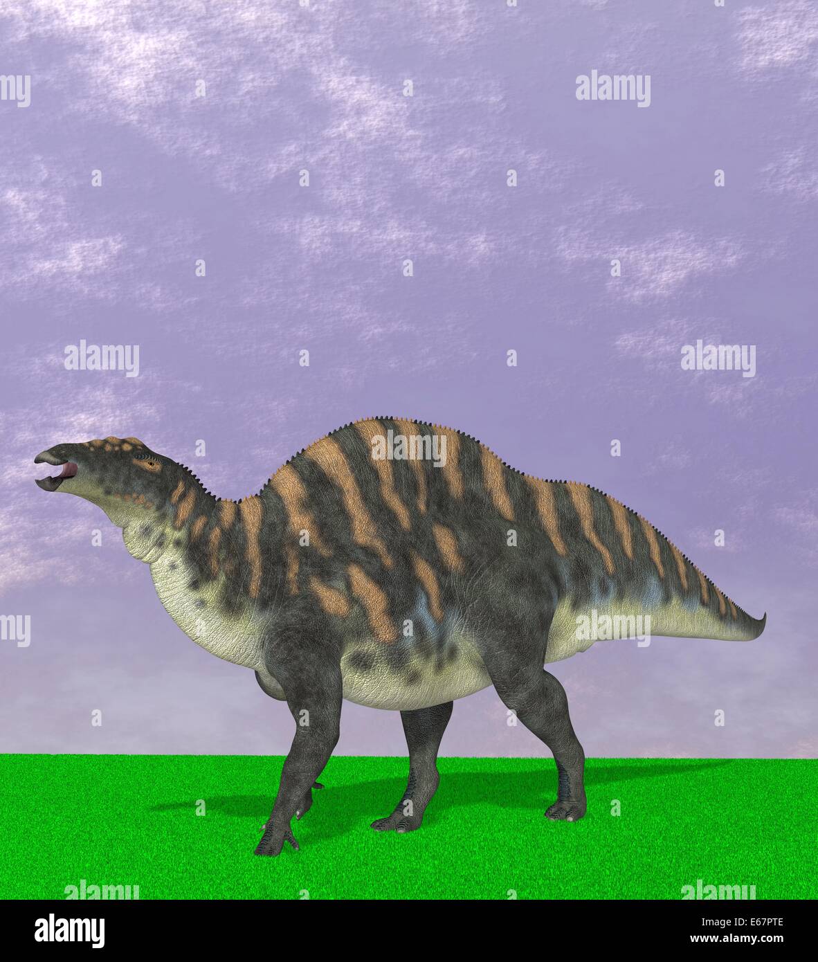 Dinosaurier Ouranosaurus / dinosaur Ouranosaurus Stock Photo