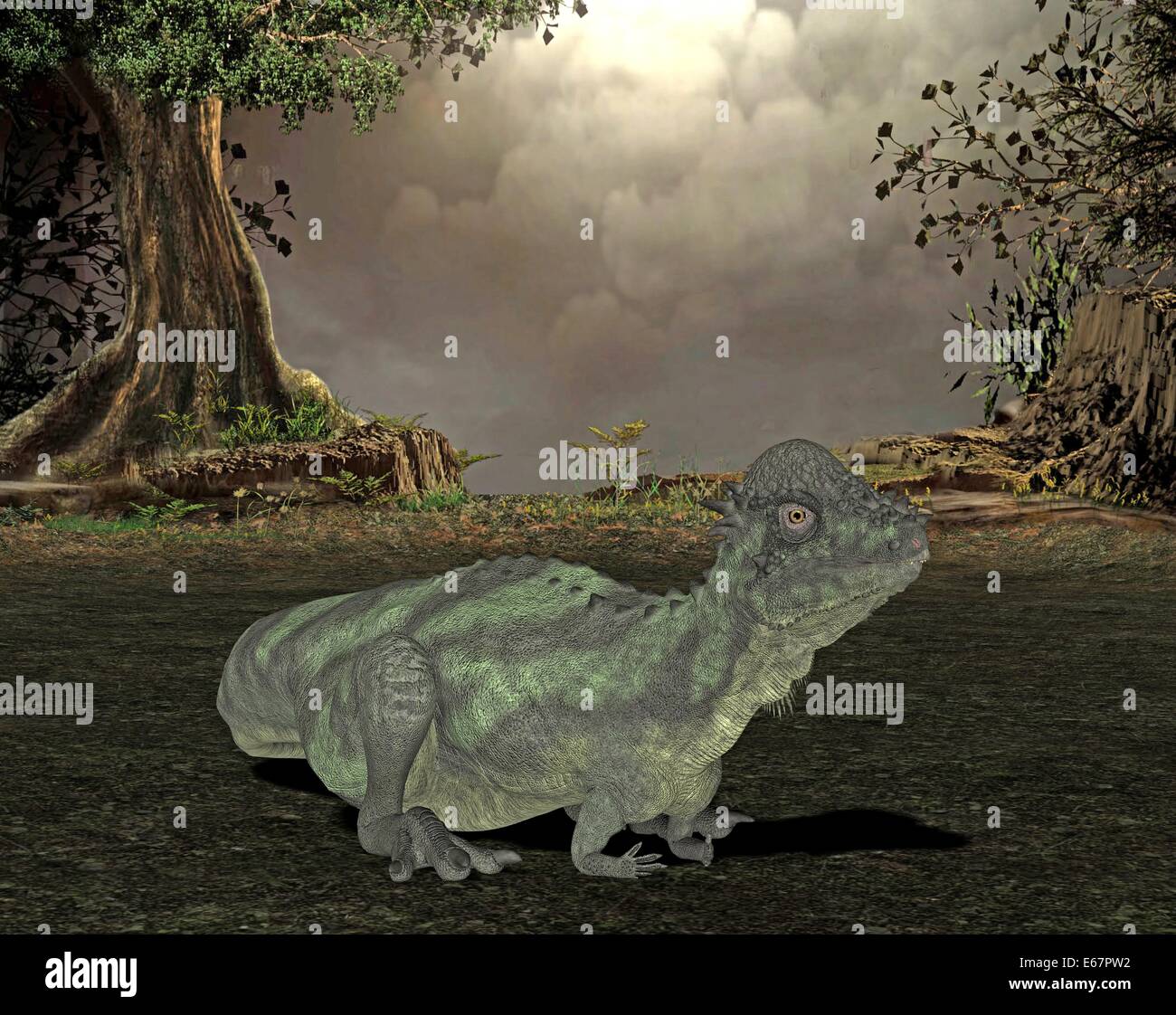 Dinosaurier Pachycephalosaurus / dinosaur Pachycephalosaurus Stock Photo