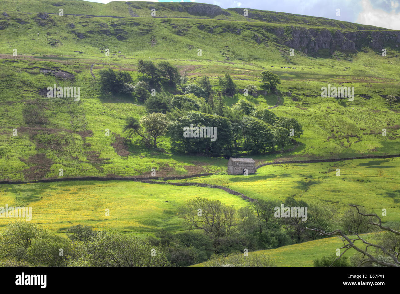 The Green Rolling Hills of the Yorkshire Dales Stock Photo