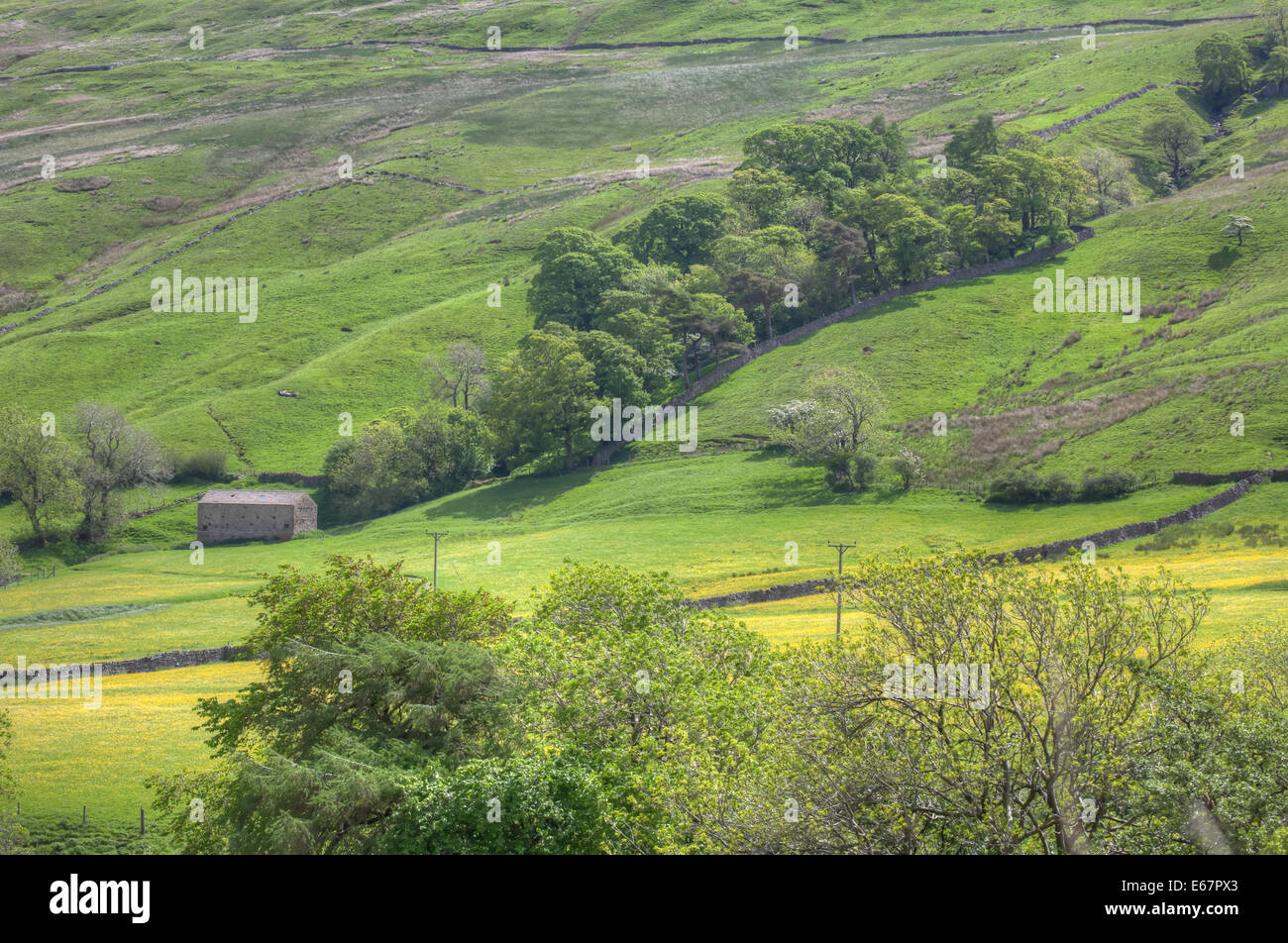 The Green Rolling Hills of the Yorkshire Dales Stock Photo