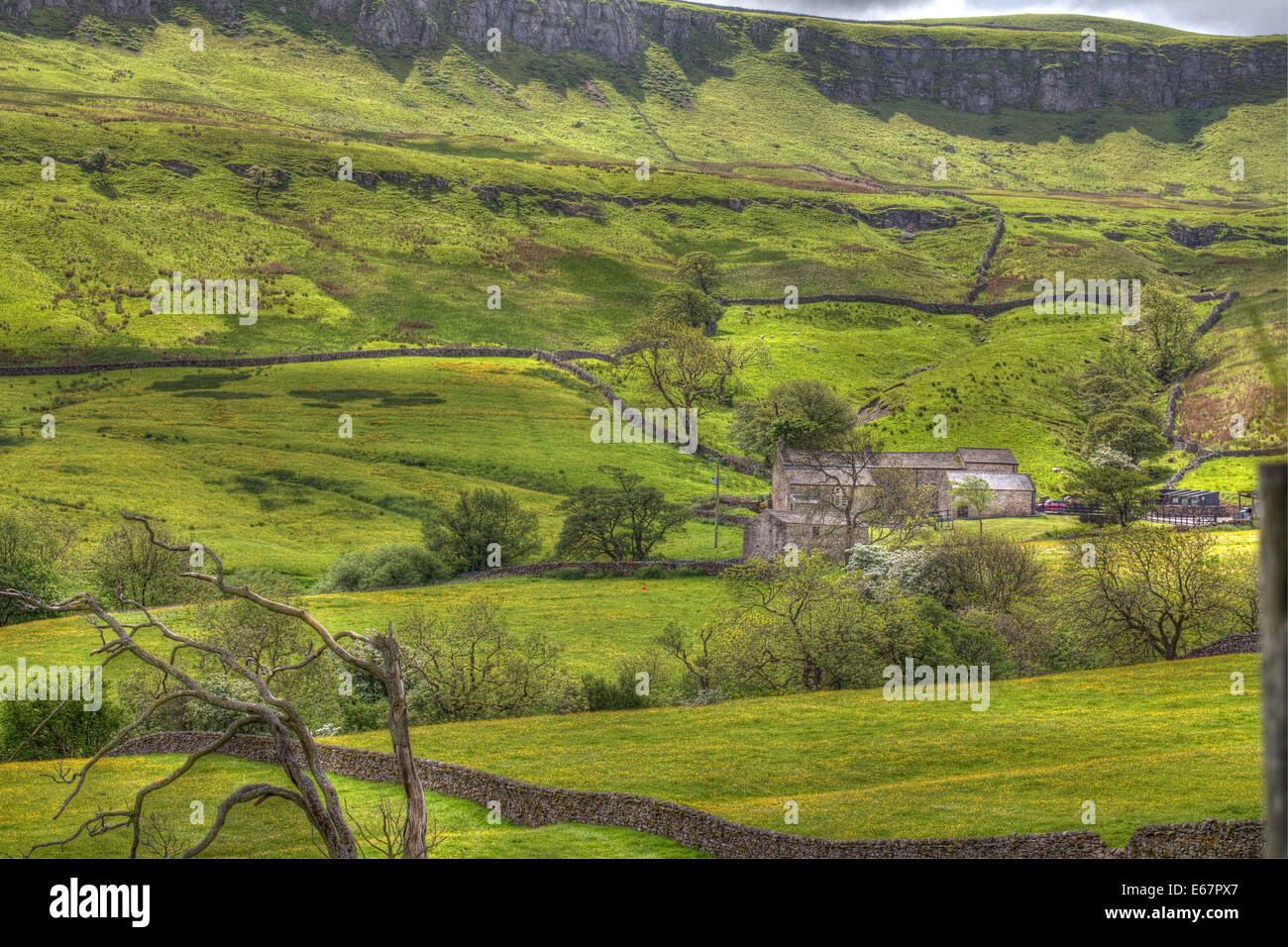 The Green Rolling Hills of the Yorkshire Dales Stock Photo