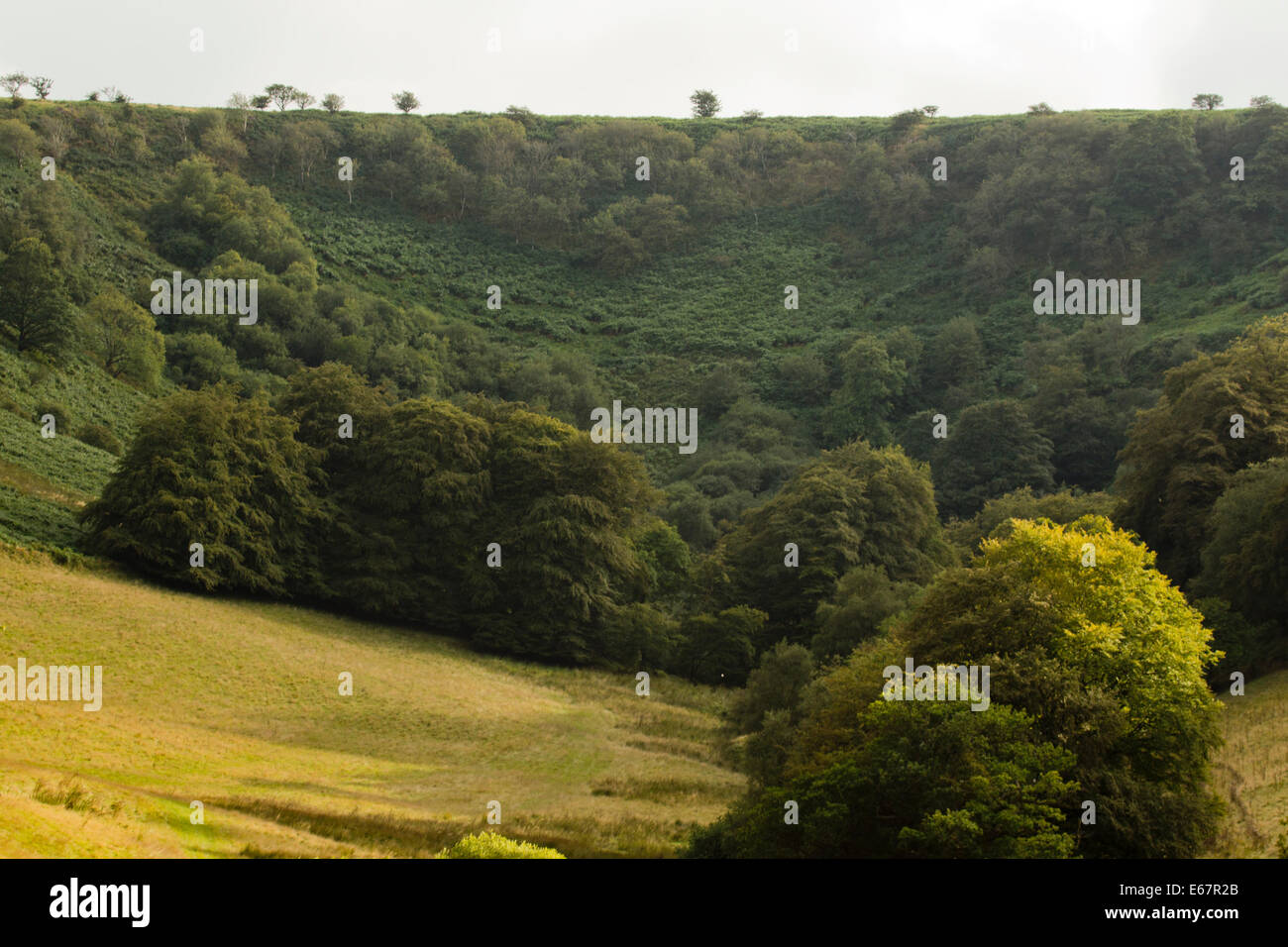 View of Punchbowl Winsford Somerset UK Stock Photo Alamy