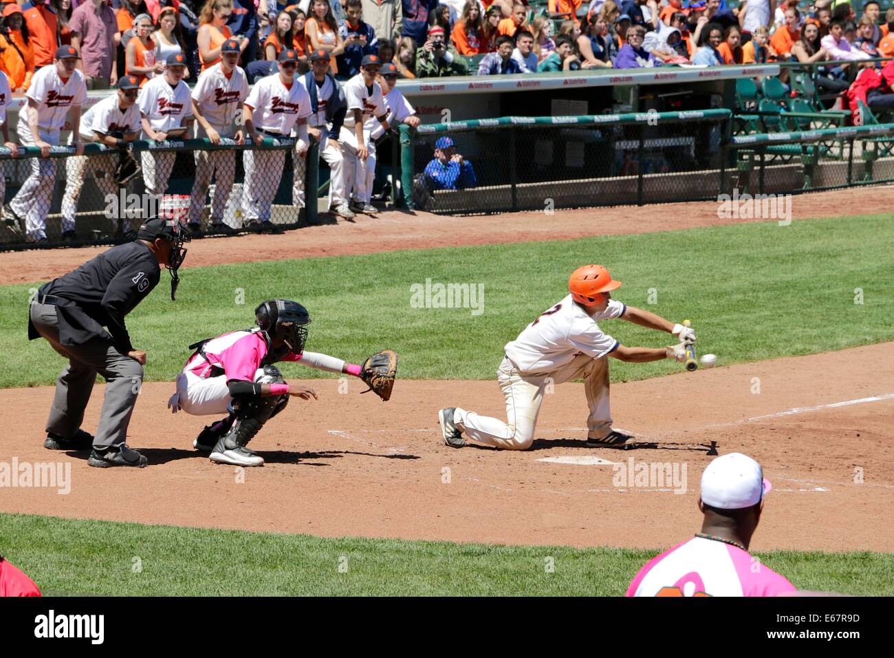 High school baseball playoff game in Wrigley Field, Chicago, Illinois. Whitney Young High School