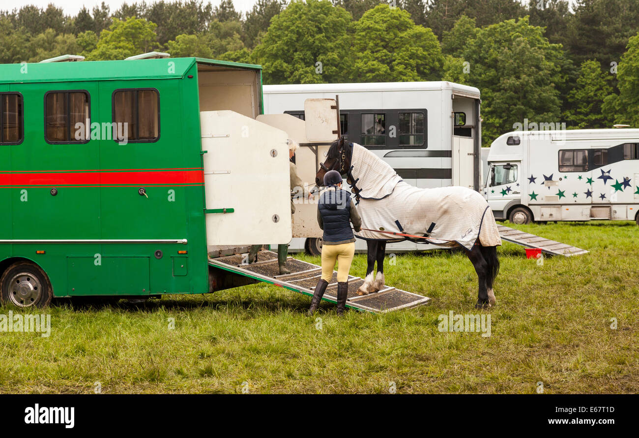 Staffordshire County Show, 2014, Staffordshire England, United Kingdom. Two woman leading a horse into horsebox. Stock Photo