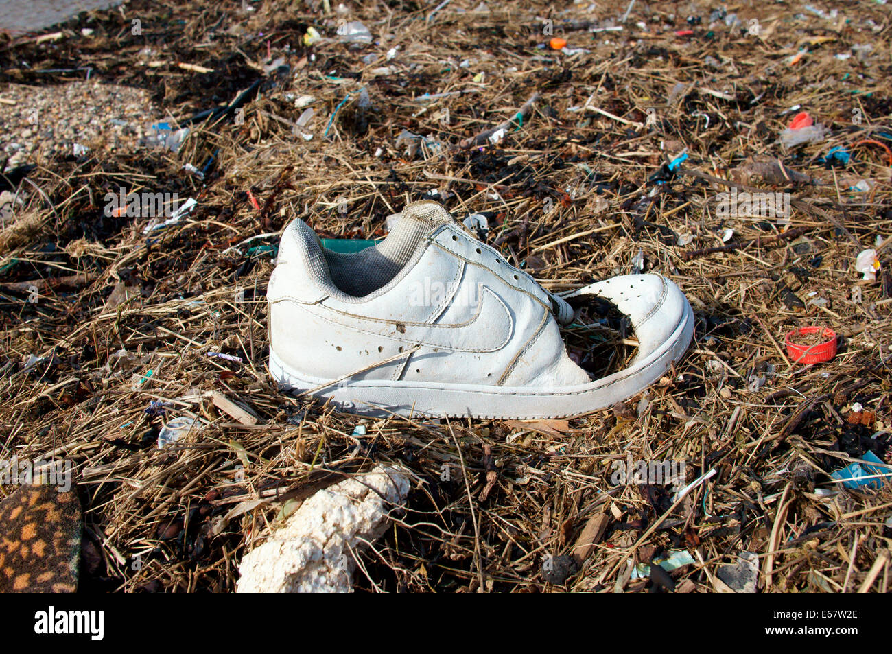 Trainer shoe washed up on the beach along with other rubbish Stock