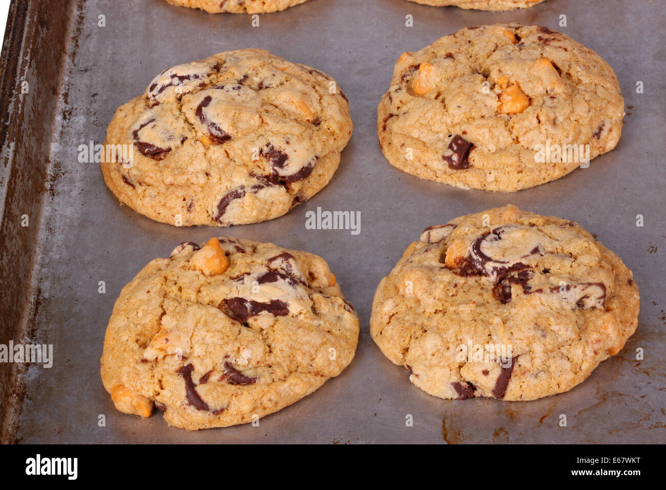 Home-baked chocolate and butterscotch chip oatmeal cookies still on the pan fresh out of the oven Stock Photo