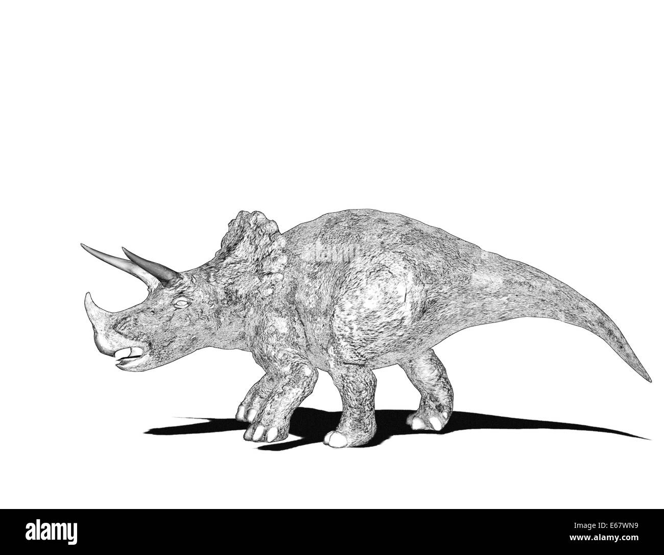 Dinosaurier Triceratops / dinosaur Triceratops Stock Photo