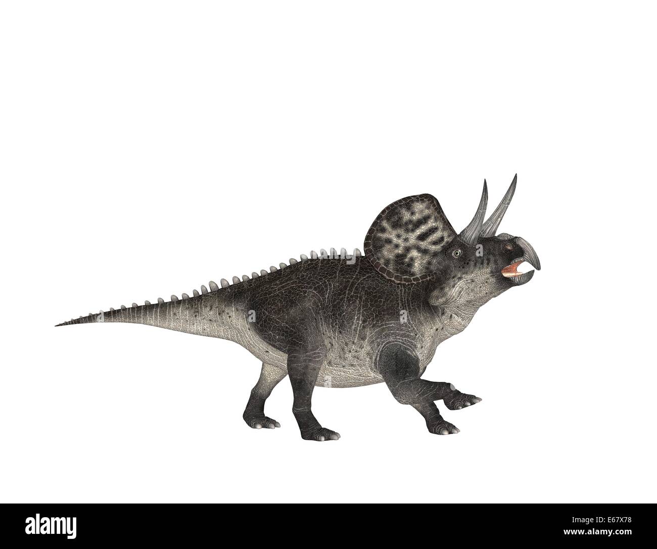 dinosaur Zuniceratops Stock Photo