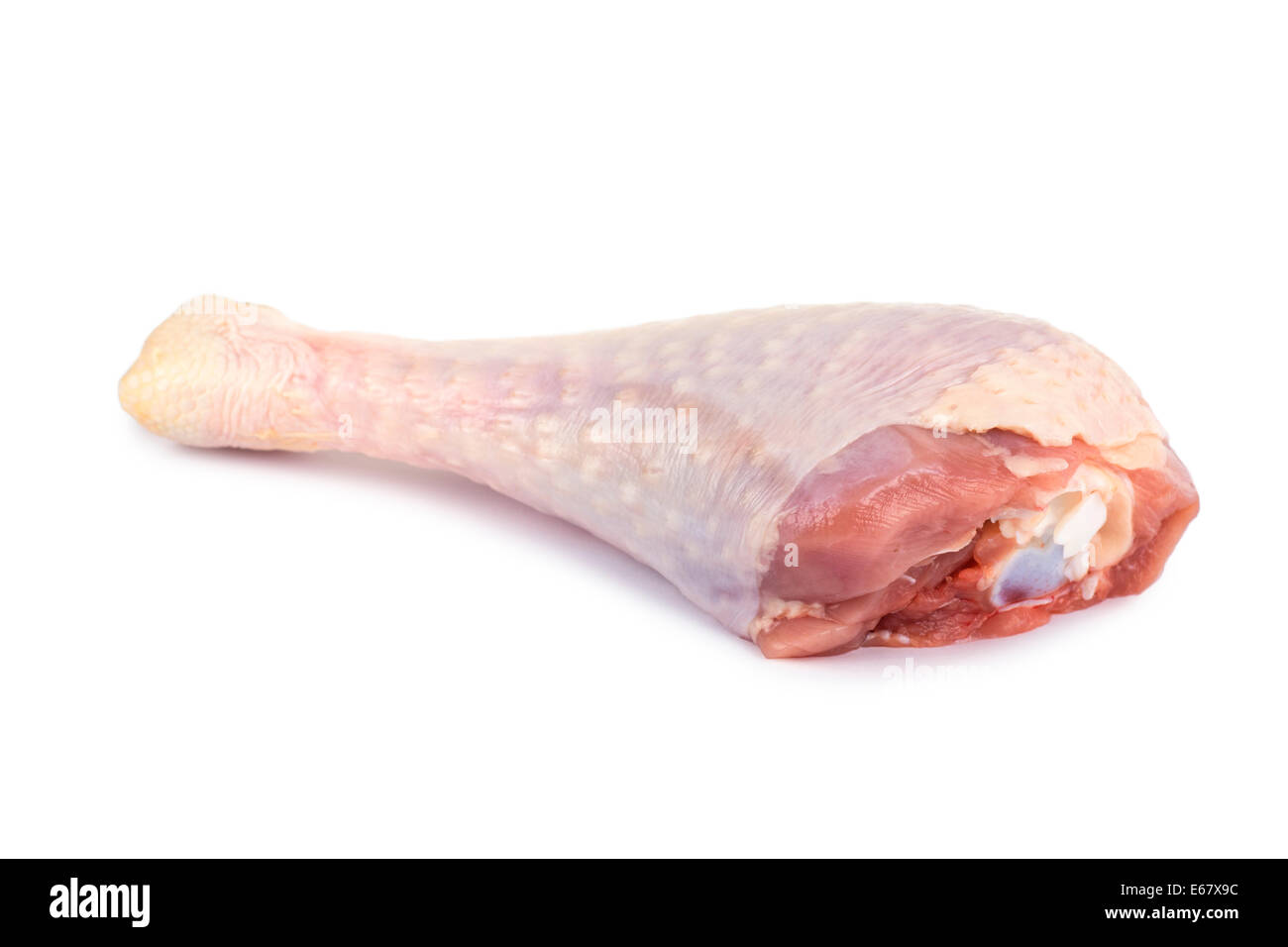 Raw Turkey Drumstick Stock Photo