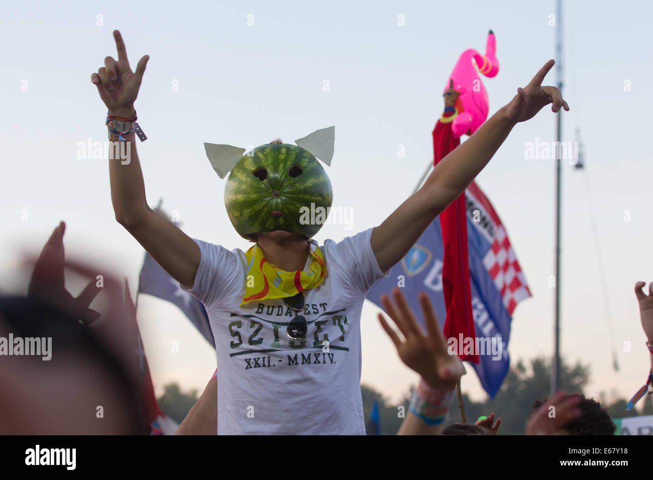 (140817)-- BUDAPEST, August 17, 2014 (Xinhua) -- A music fan takes part in the Sziget (Hungarian for Island) Festival on the Obuda Island in Budapest, Hungary on Aug. 17, 2014. The 22nd Sziget Festival is held from from Aug. 11 to 17. (Xinhua/Attila Volgyi) Stock Photo