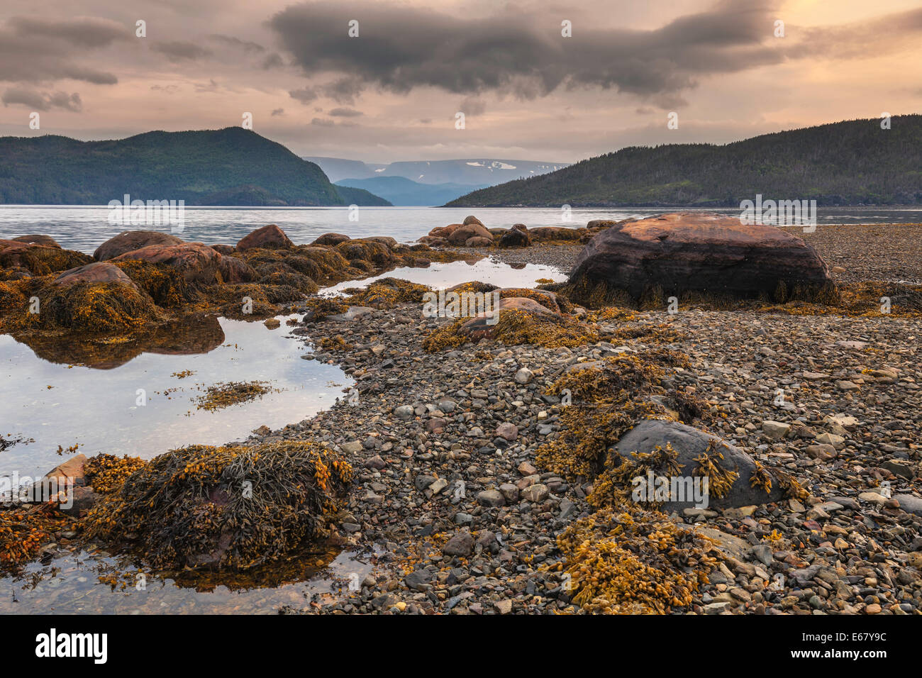 Bonne Bay, Newfoundland, Canada Stock Photo Alamy