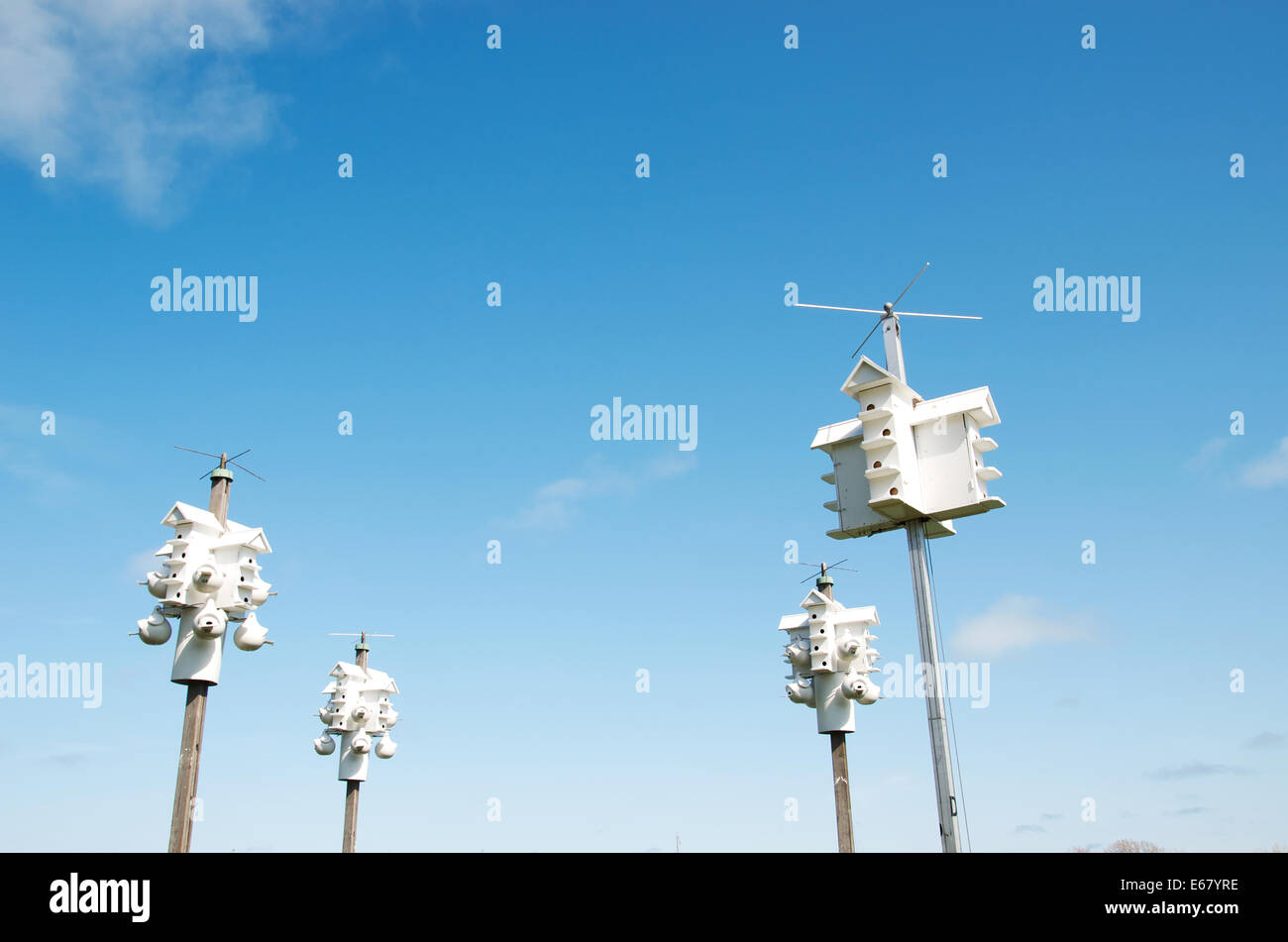 White bird houses on poles against blue sky. Stock Photo