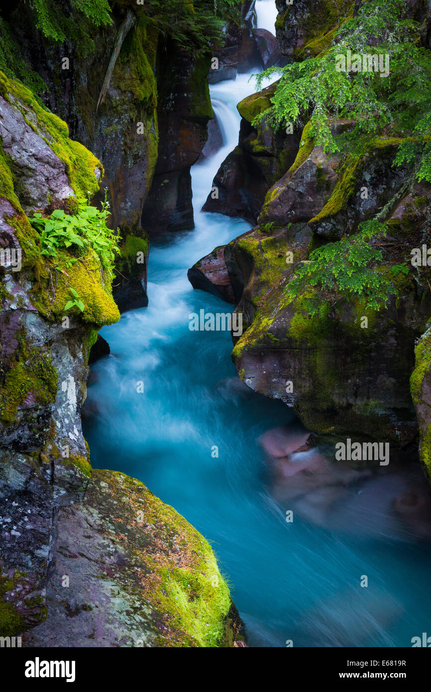 Avalanche Creek Gorge In Glacier National Park Located In Montana Near 