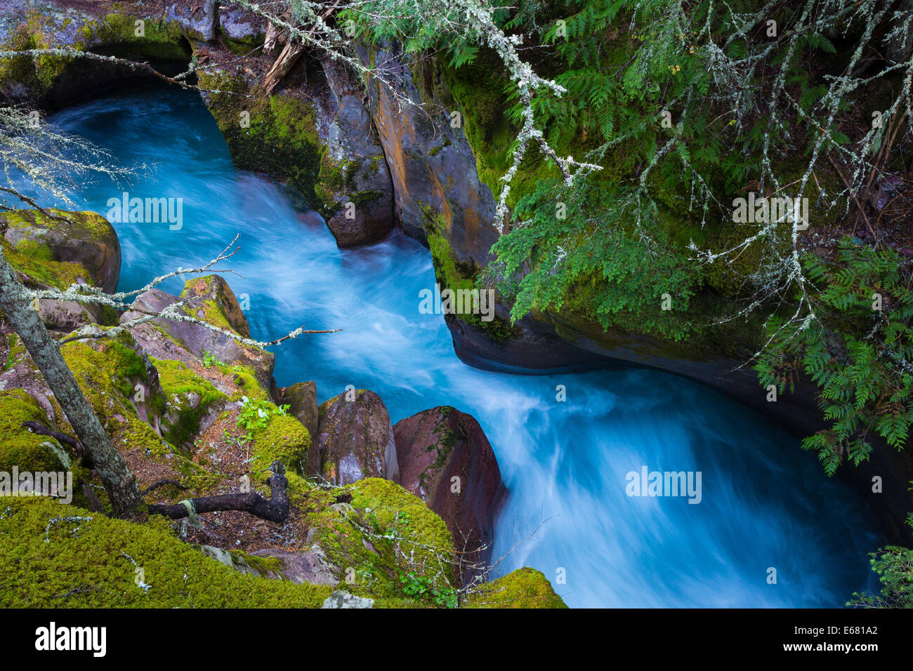 Avalanche Creek gorge in Glacier National Park, located in Montana near the US-Canada border Stock Photo