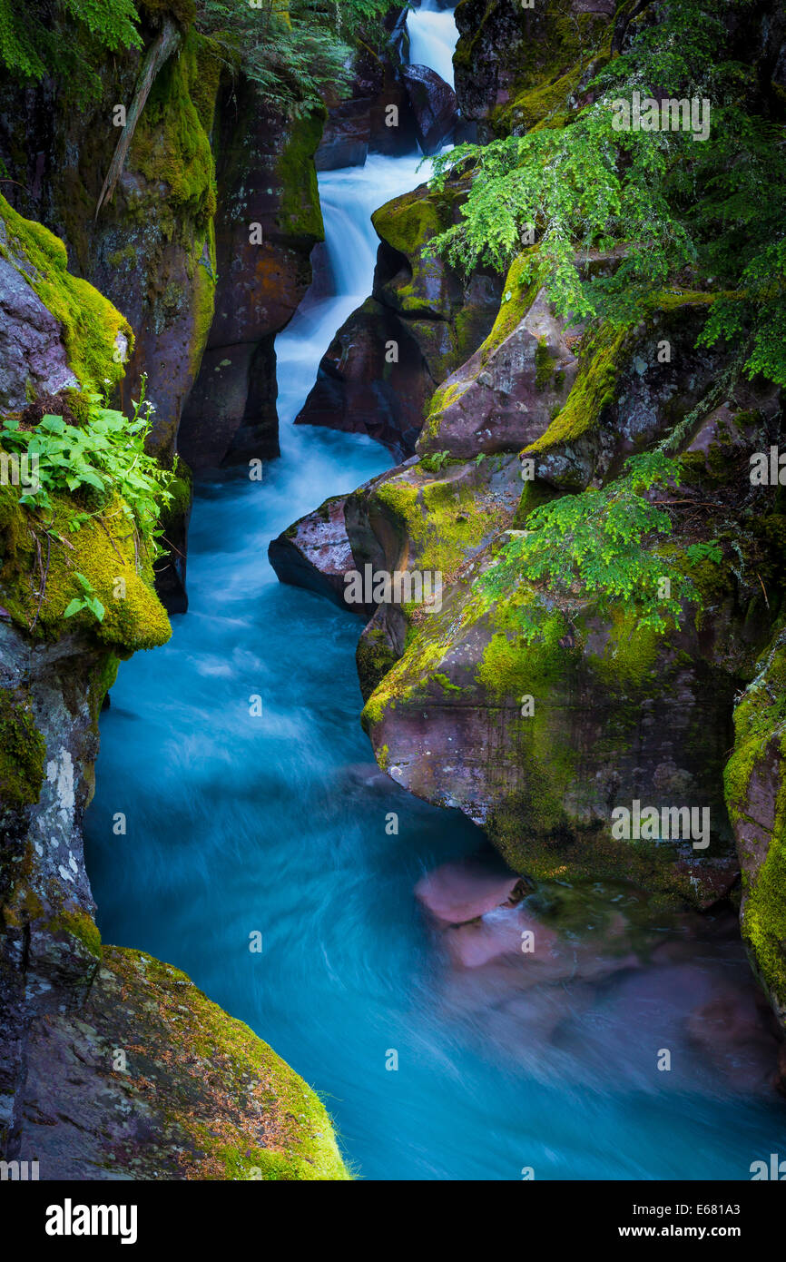 Avalanche Creek gorge in Glacier National Park, located in Montana near the US-Canada border Stock Photo