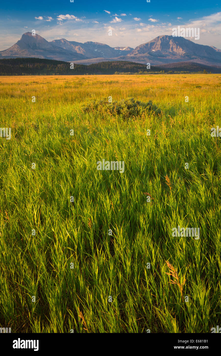 Canada united states border hi-res stock photography and images - Alamy