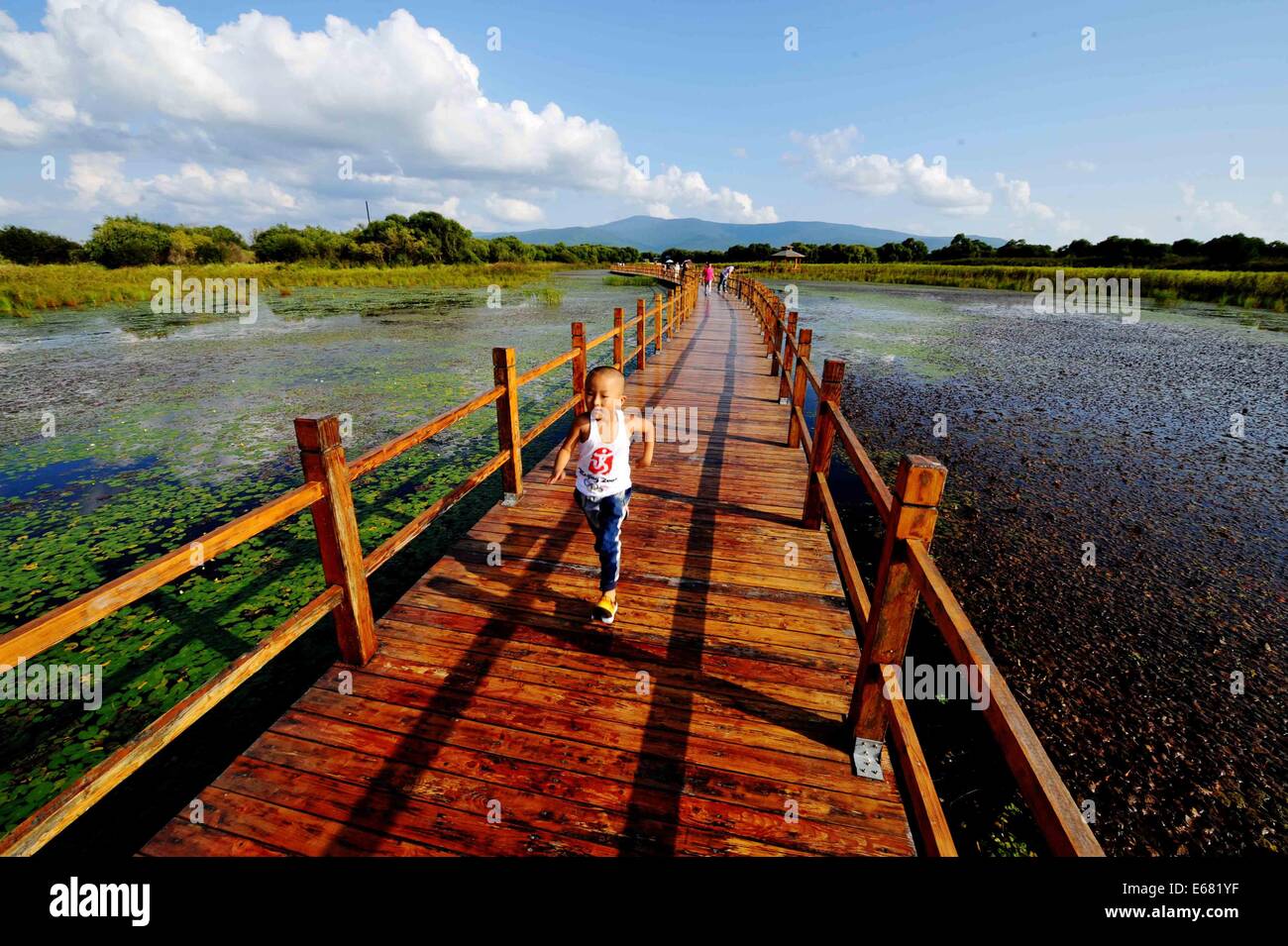 Fuyuan, China's Heilongjiang Province. 17th Aug, 2014. A young boy runs across boardwalks at the wetland of Heixiazi Island, a Sino-Russian border island, in northeast China's Heilongjiang Province, Aug. 17, 2014. © Wang Jianwei/Xinhua/Alamy Live News Stock Photo