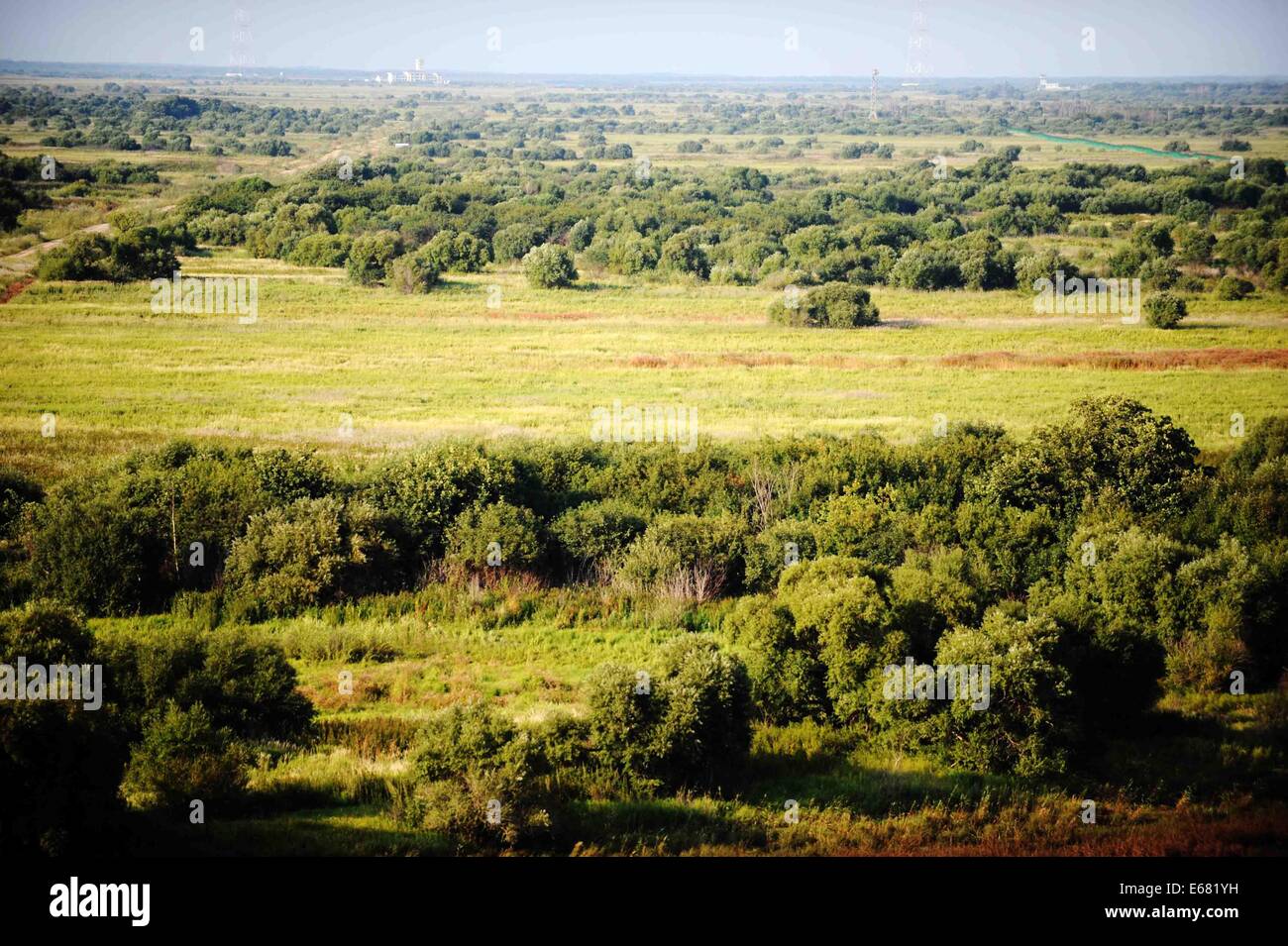 Fuyuan. 17th Aug, 2014. Photo taken on Aug. 17, 2014 shows the scenery at the wetland of Heixiazi Island, a Sino-Russian border island, in northeast China's Heilongjiang Province. © Wang Jianwei/Xinhua/Alamy Live News Stock Photo