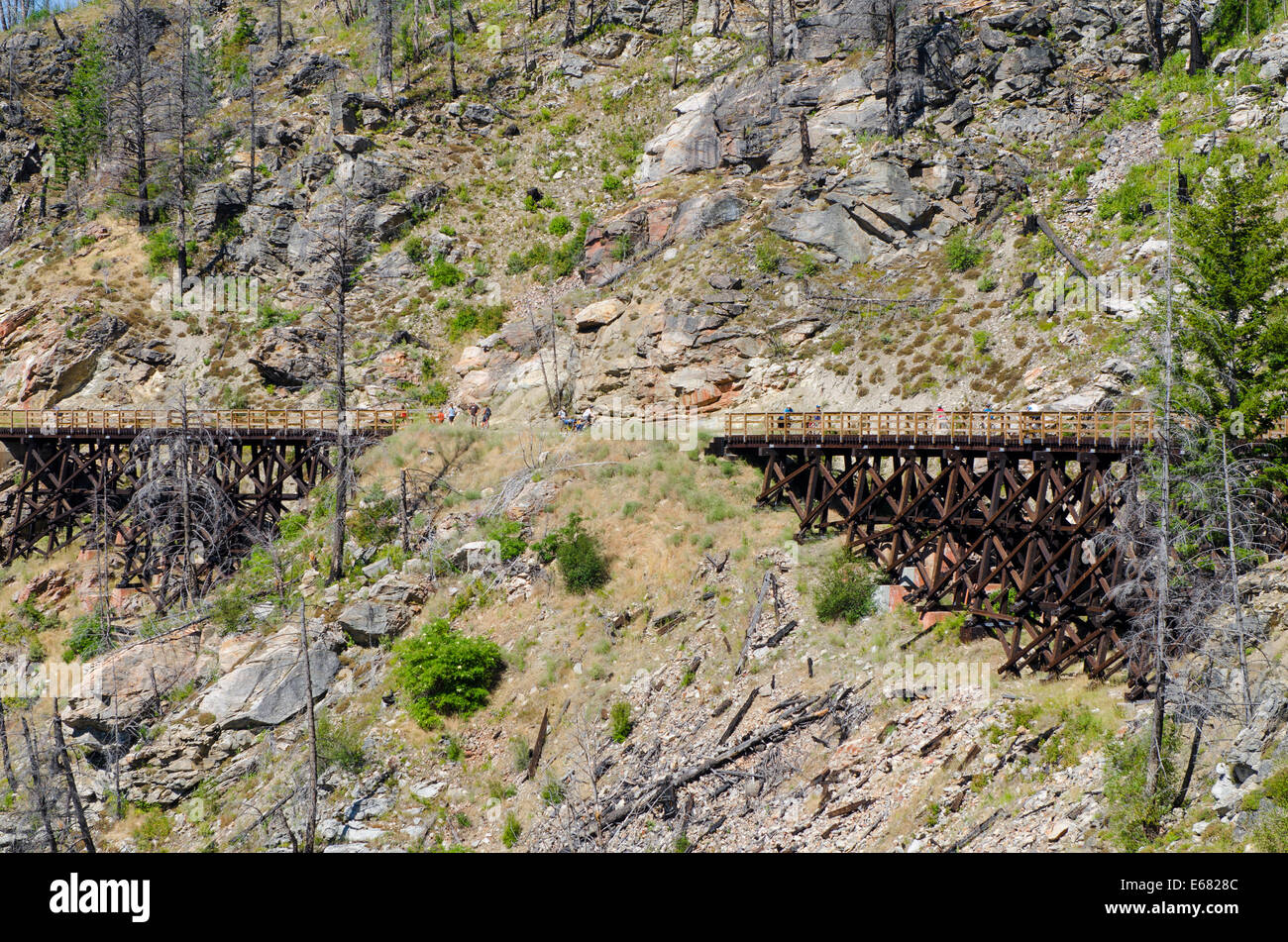 Mountain biking cycling riding the old wooden railway trestles trail in