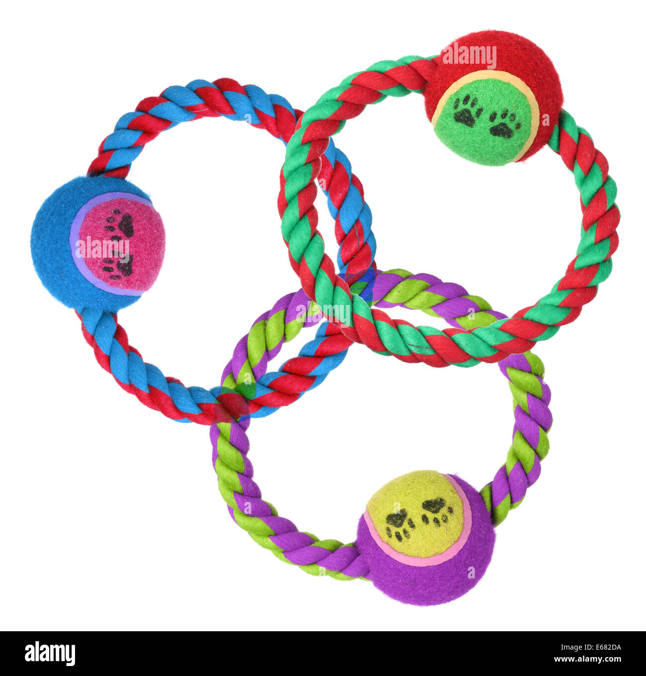 Dog Ring Toys Stock Photo Alamy