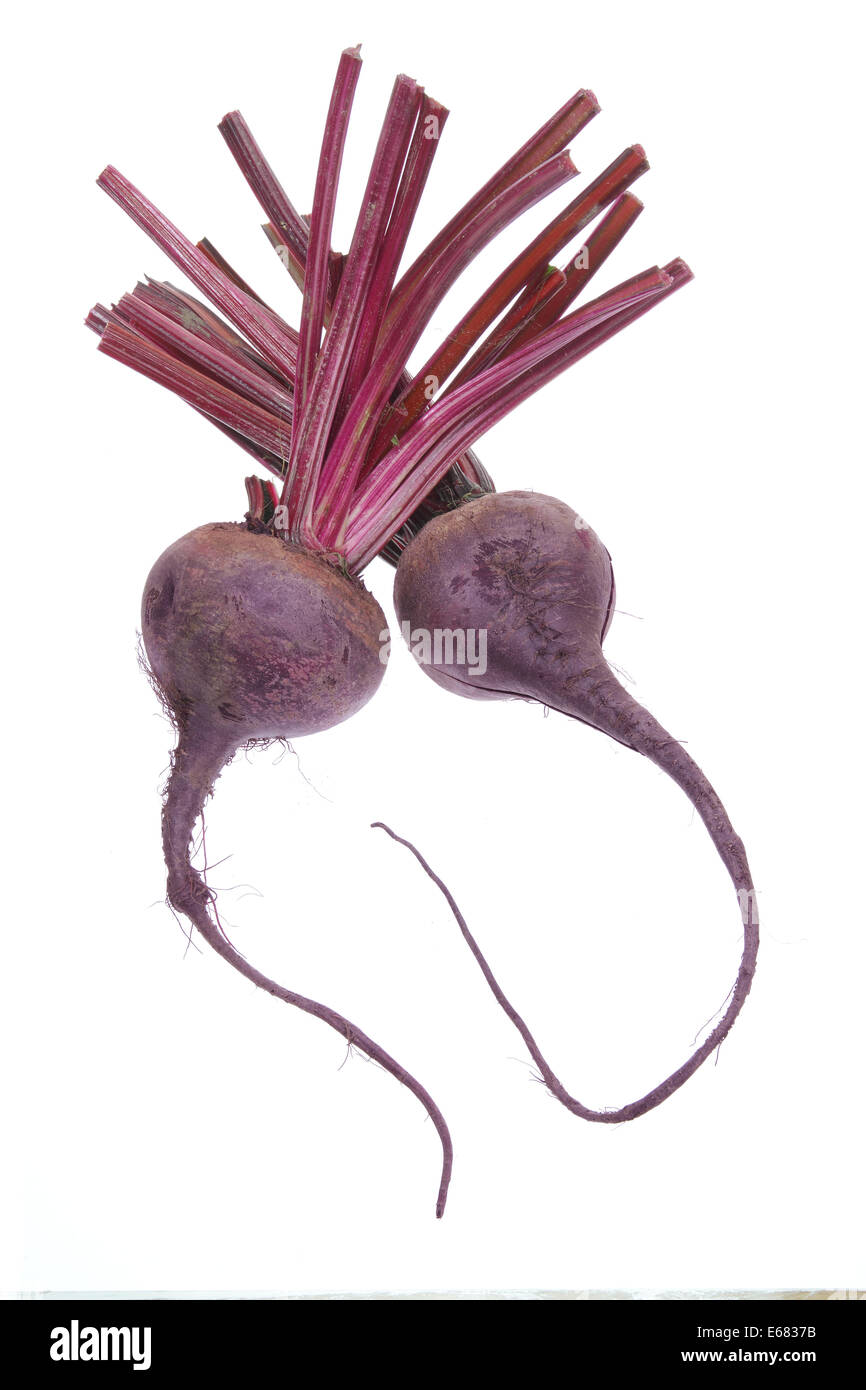 Beetroot cutout hi-res stock photography and images - Alamy