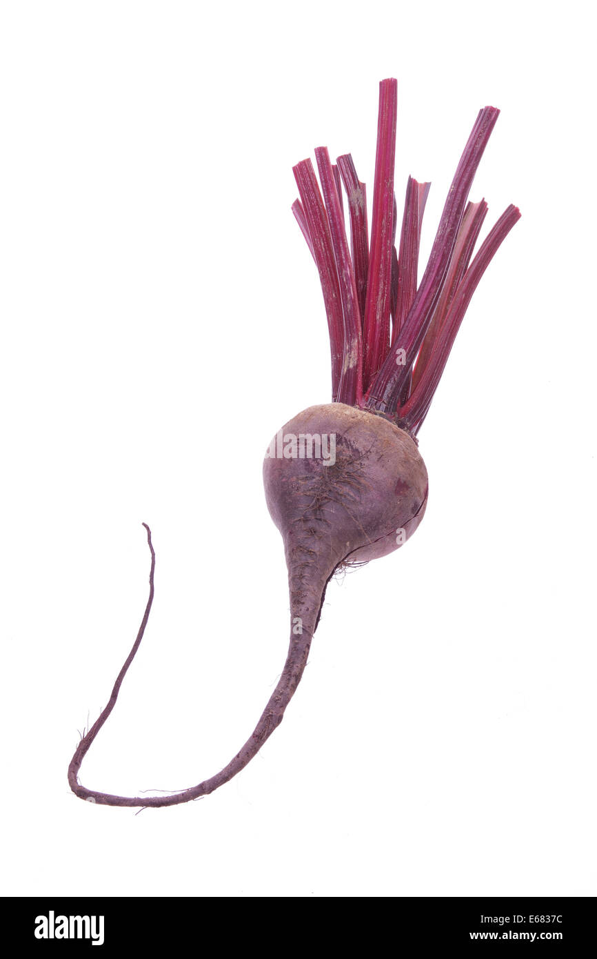 Beetroot cutout hi-res stock photography and images - Alamy