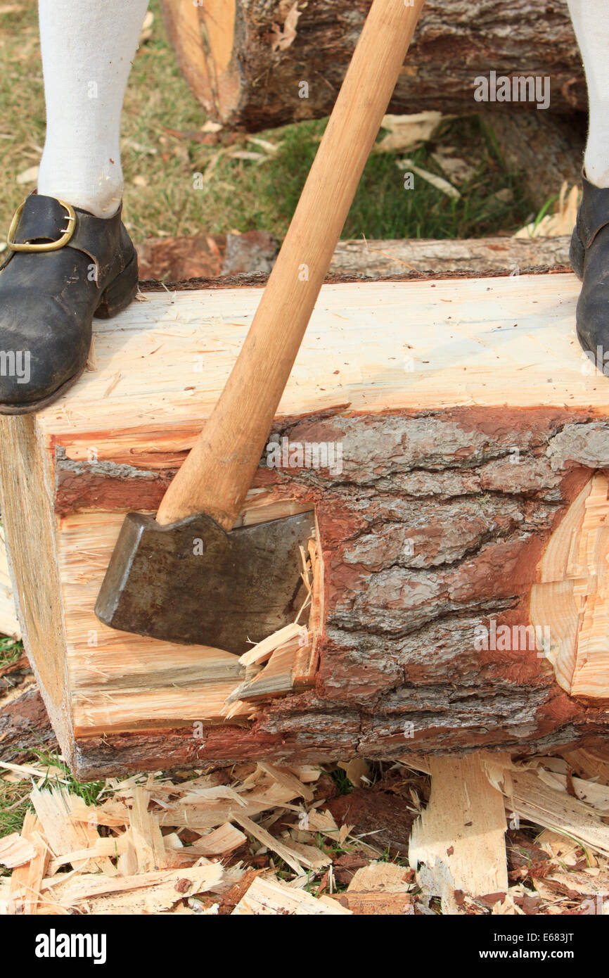 Man squaring a pine tree truck for use later in a building project. Stock Photo