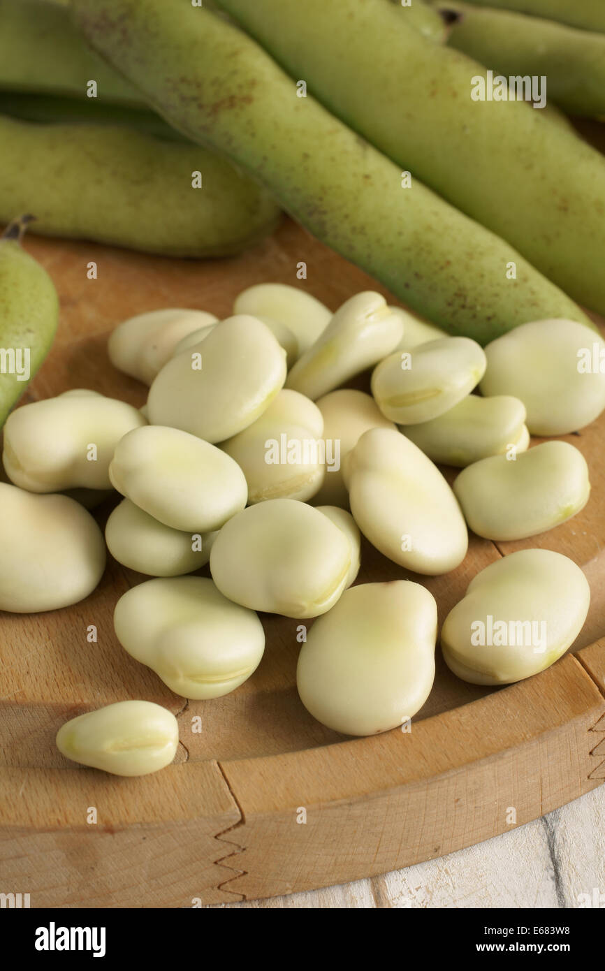 Broad beans or fava beans a popular legume in North African and Asian