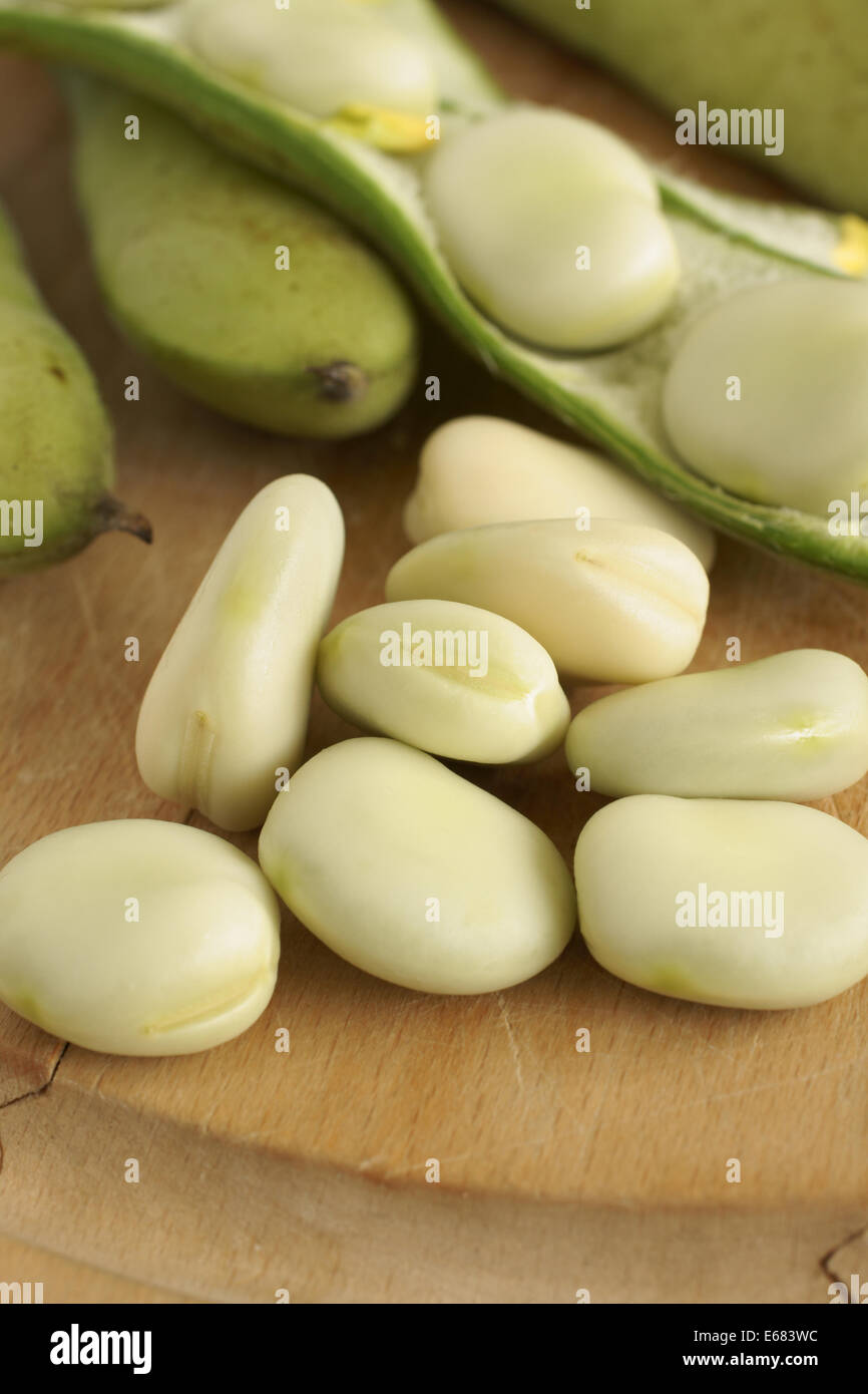 Broad beans or fava beans a popular legume in North African and Asian