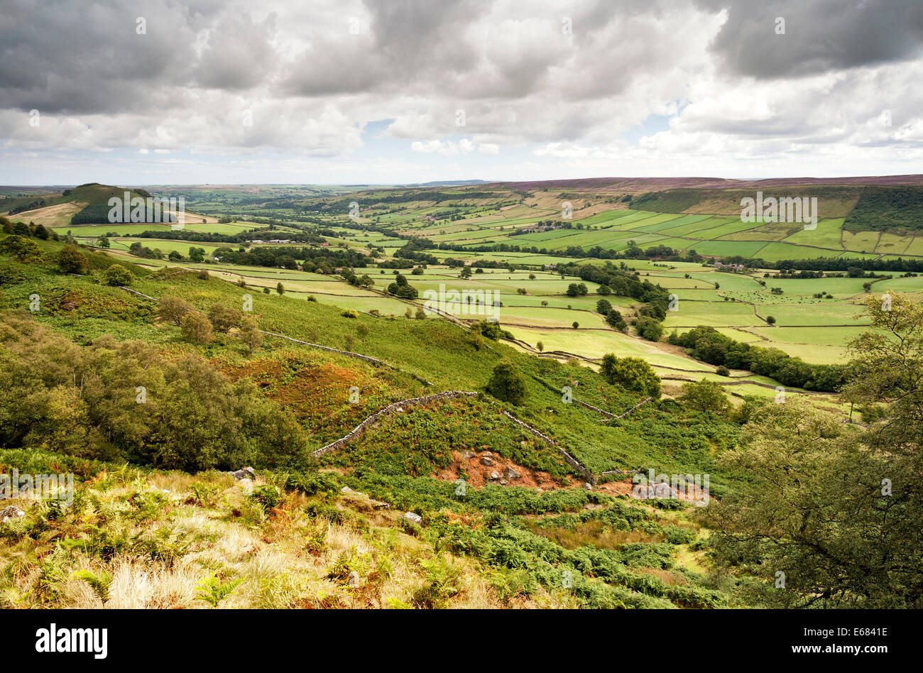 Looking towards Little Fryup Dale and Fairy Cross plantation Stock Photo