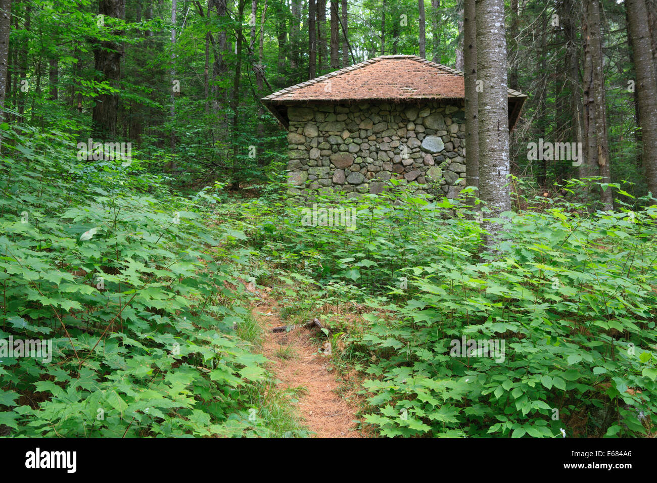 Smokehouse in the  Camp Santanoni Historic Area surrounded by the forest Stock Photo