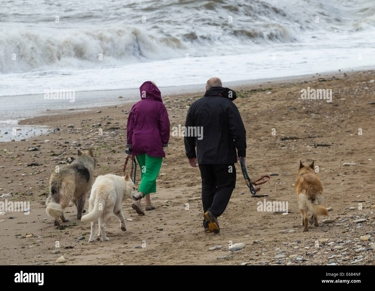 Seaham, County Durham, UK. 18th Aug, 2014. UK. Weather: waalking the dogs at Seaham on the north east coast as gale force northerly winds blow down the east coast Credit:  ALANDAWSONPHOTOGRAPHY/Alamy Live News Stock Photo