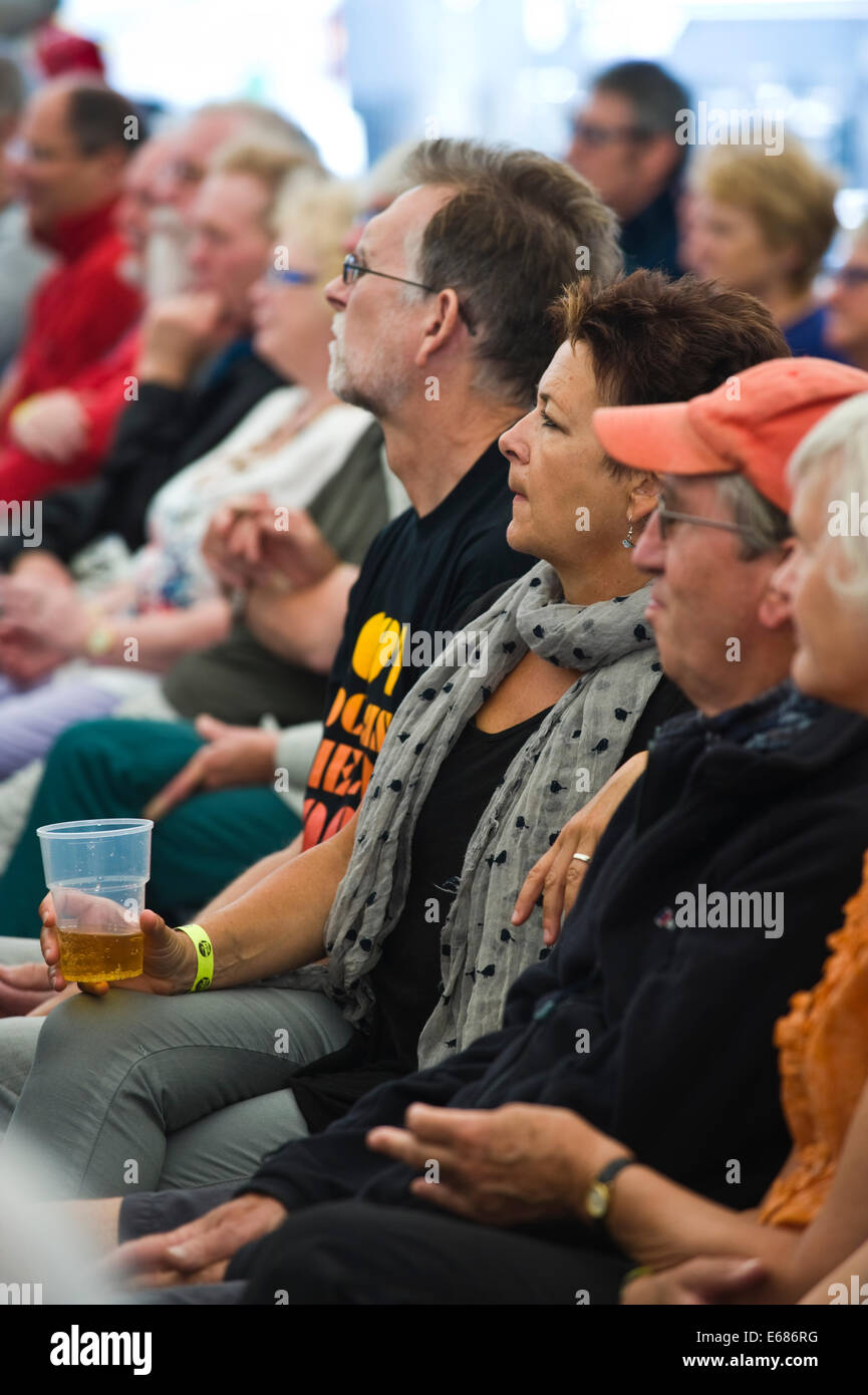 Concert audience llistening to live music at Brecon Jazz Festival 2014 Stock Photo