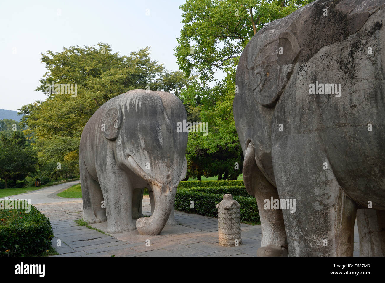 Elephant statues on Stone Statue Road at Ming Xiaoling, Ming dynasty tomb, Nanjing, Jiangsu, China. Stock Photo