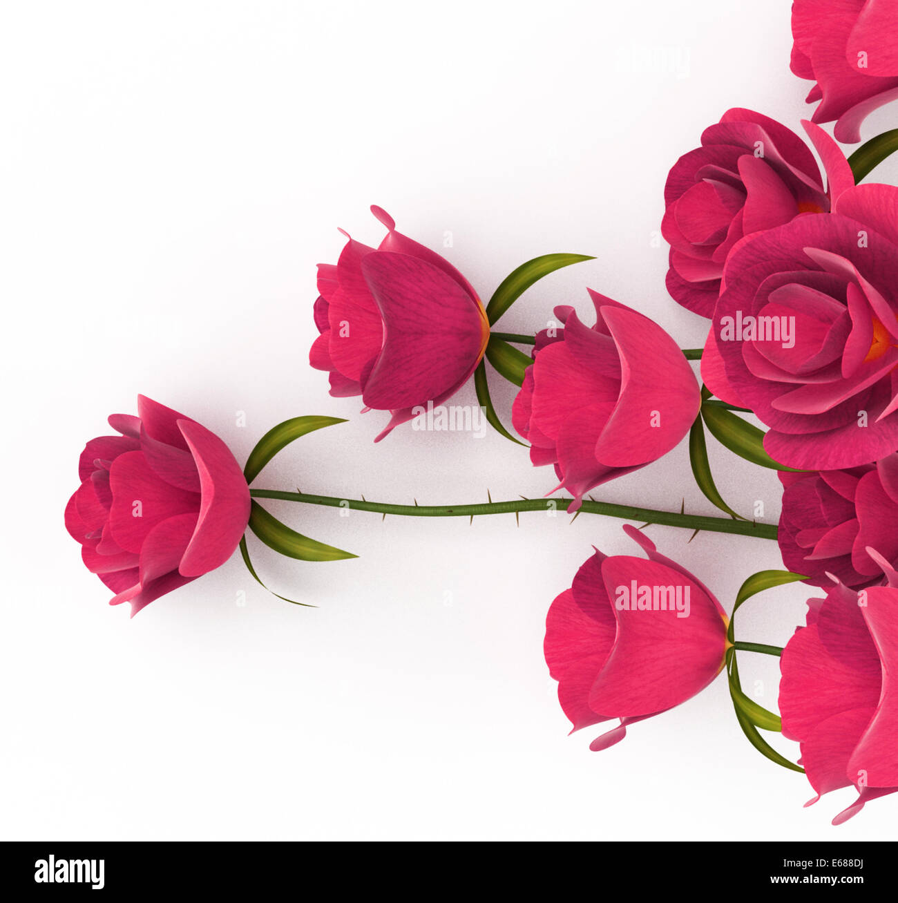 Roses Love Meaning Devotion Compassion And Petal Stock Photo Alamy