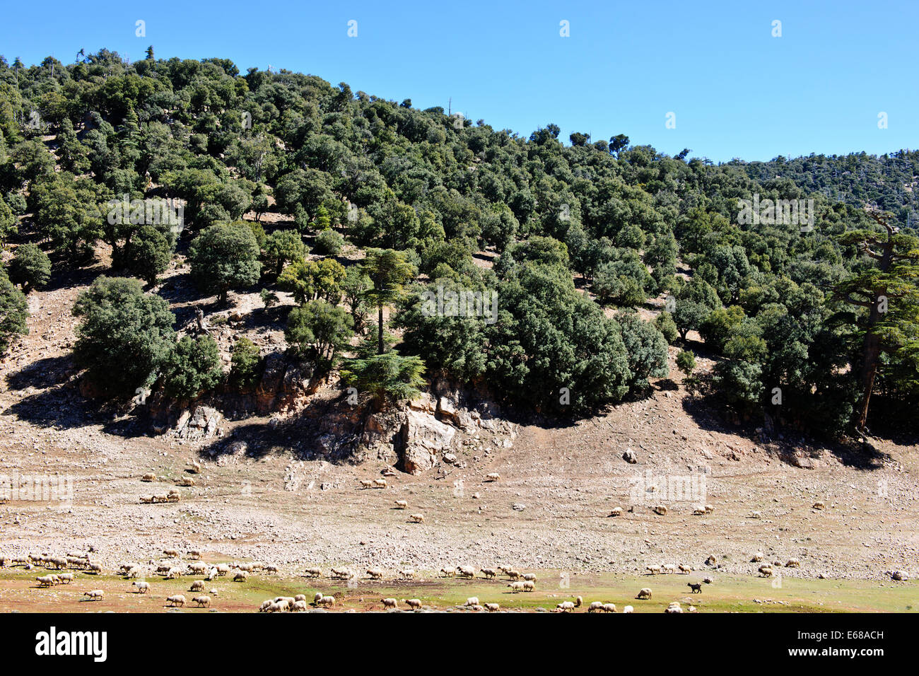 Faz er rachidia hi-res stock photography and images - Alamy