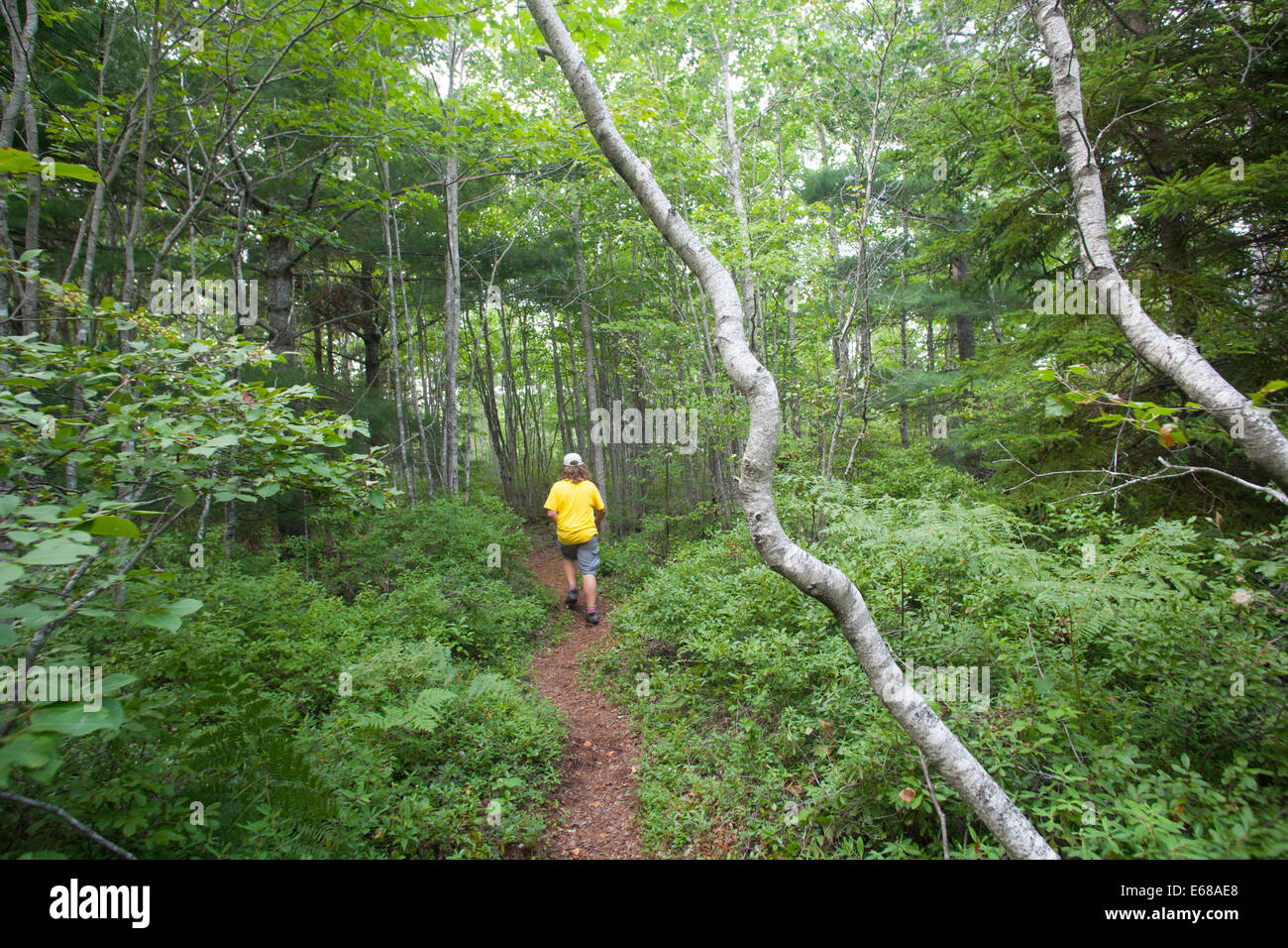 Hiker Teen on forest trail Stock Photo